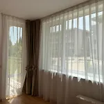 The Sunny Spot *